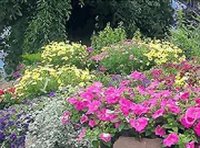 Flower Garden Hidden Alphabet Puzzle Game