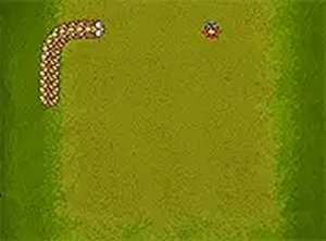 Snake Arcade Online Game